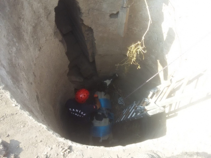 Manisa İtfaiyesi Bir Cana Daha Yaşama Şansı Verdi