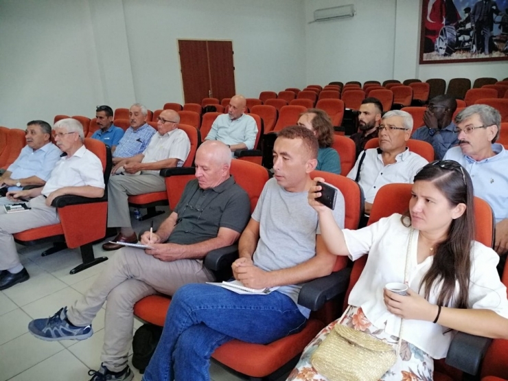 Türk Çam Balı Coğrafi İşaret Projesi Başladı