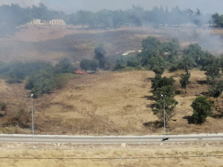 Askeri Çamlıkta Korkutan Yangın