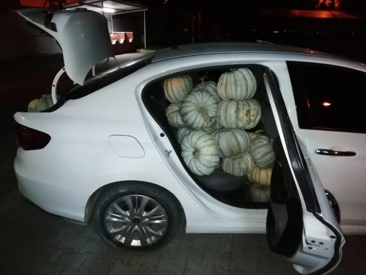 Jandarmadan "Bal" Gibi Operasyon