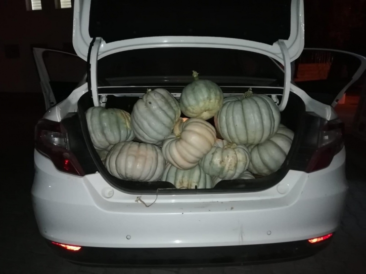 Jandarmadan "Bal" Gibi Operasyon