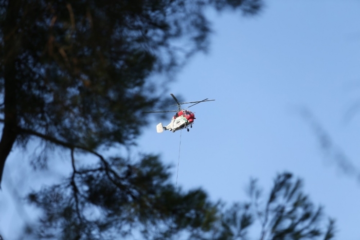 Bursa’da Orman Yangını 20 Dönüm Alanı Kül Etti