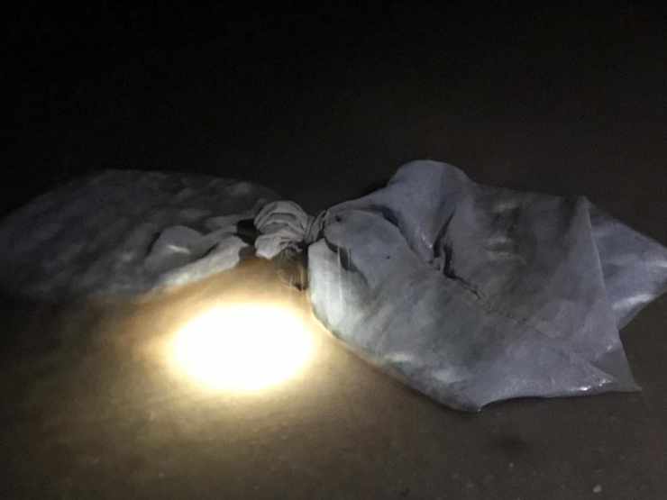 Kaçak Olarak Avlanan Yüzlerce Yavru Balık, Özgürlüğüne Kavuştu