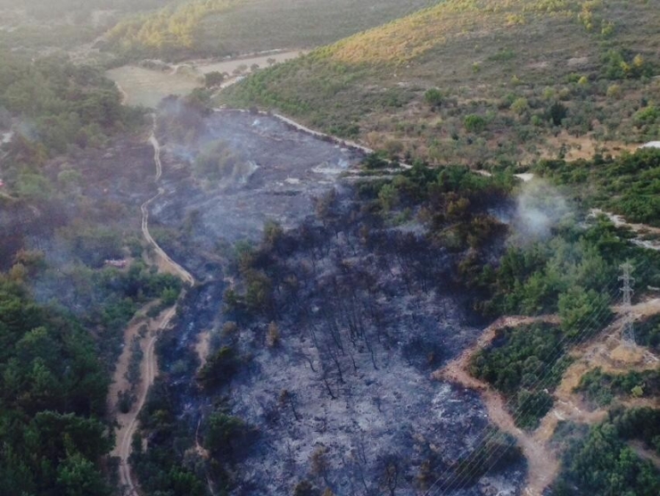 İzmir’deki Orman Yangını Kontrol Altına Alındı