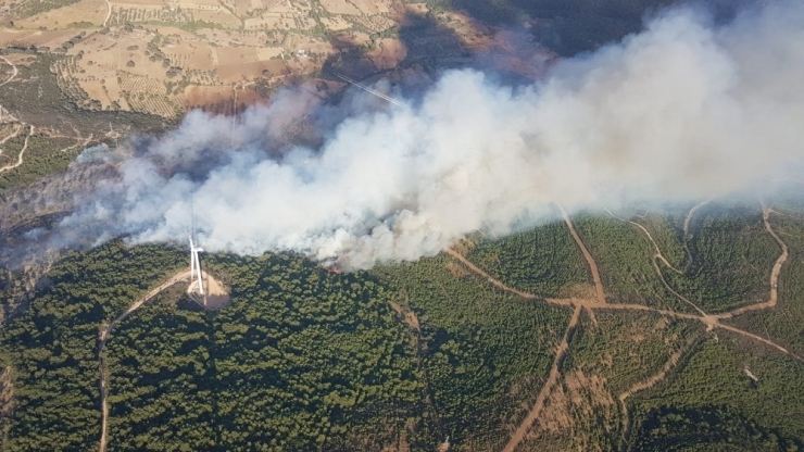 İzmir’deki Orman Yangını Kontrol Altına Alındı