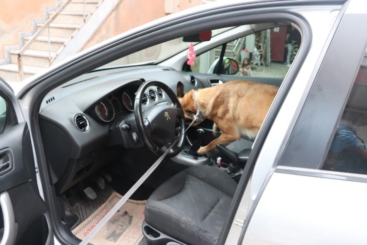 Akyazı’da Uyuşturucu Operasyonu: 2 Tutuklu