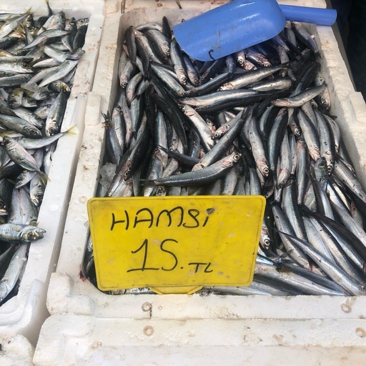 Tezgahlarlar Bu Yıl Şen Değil