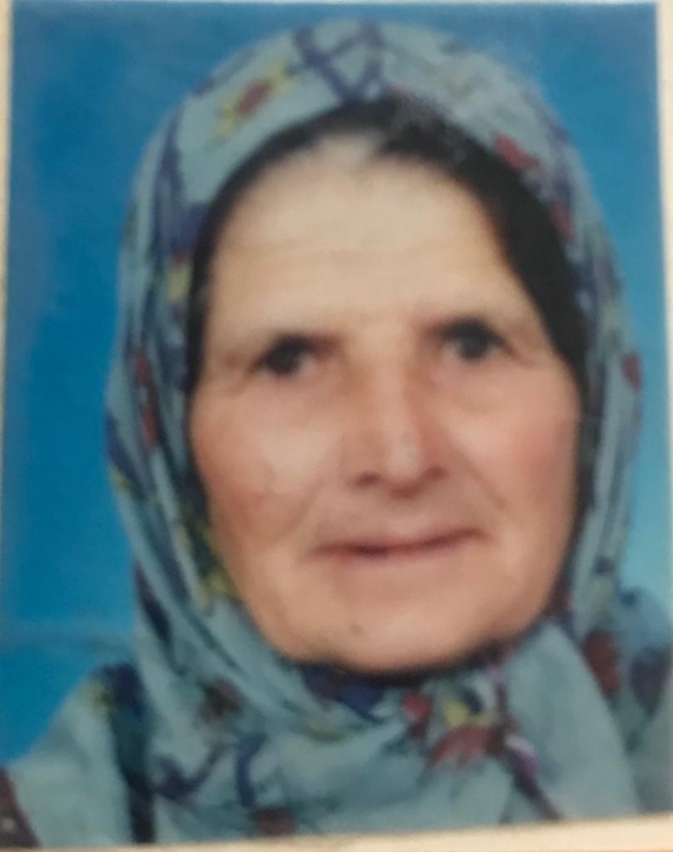 Ceviz Ağacından Düşen Yaşlı Kadın Hayatını Kaybetti