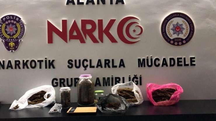 Alanya’da 2 Kardeş 2 Kilogram Uyuşturucuyla Yakalandı