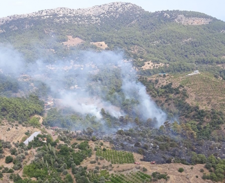 Antalya’daki Orman Yangını Kontrol Altına Alındı