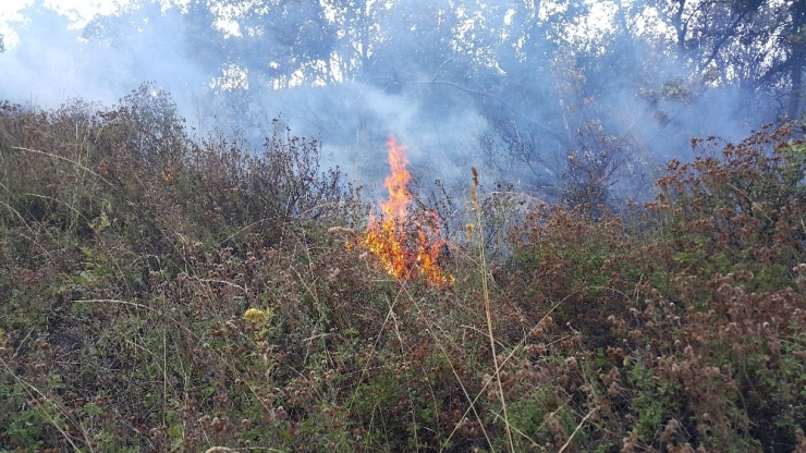 Uludağ’ın Eteklerinde Orman Yangını