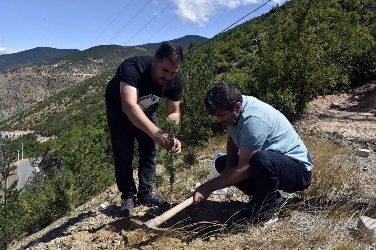 Bu İlçede Her Doğan Bebek İçin Fidan Dikiliyor