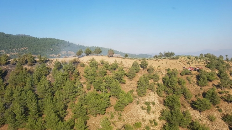 Hatay’da Çıkan Orman Yangını Kontrol Altına Alındı