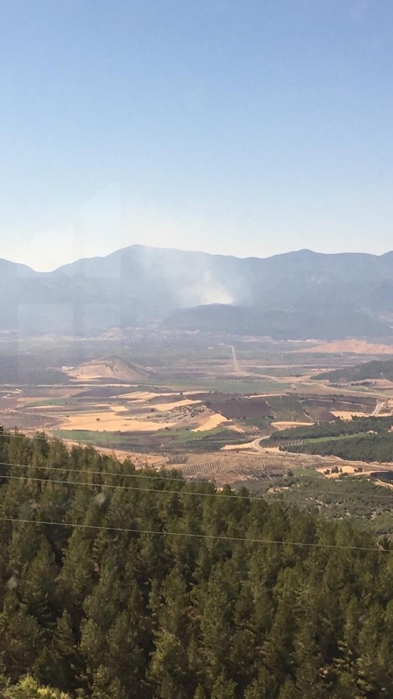 Hatay’da Orman Yangını