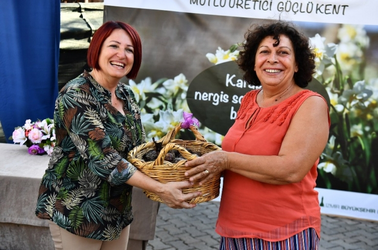 Karaburun Yeniden Nergis Kokacak