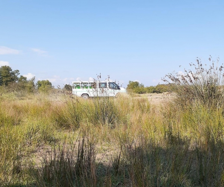 Sakarya’da Sahilde İskelet Bulundu