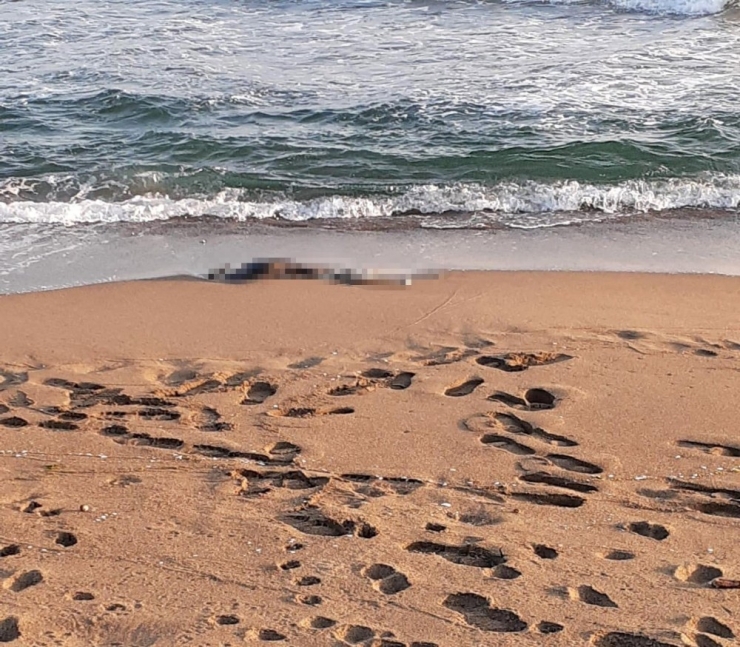 Sakarya’da Sahilde İskelet Bulundu