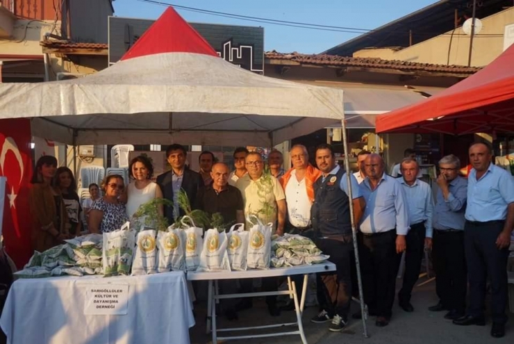 Festivalde 2 Bin Selvi Fidanı Dağıtıldı