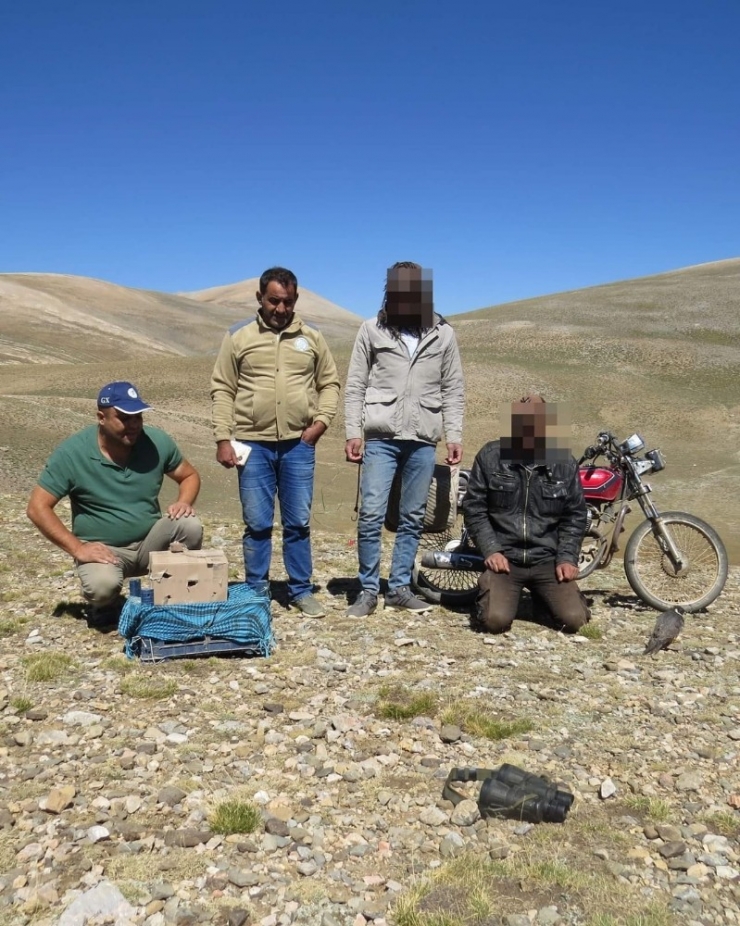 Yırtıcı Kuş Avcıları Yakalandı