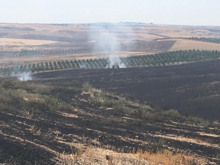 Anız Yangını Bahçelere Sıçradı