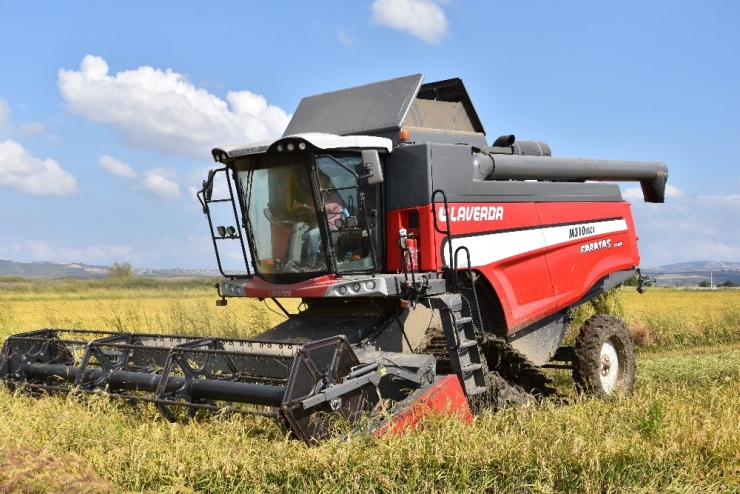 Dünyaca Ünlü Gönen Baldosunda Hasat Başladı