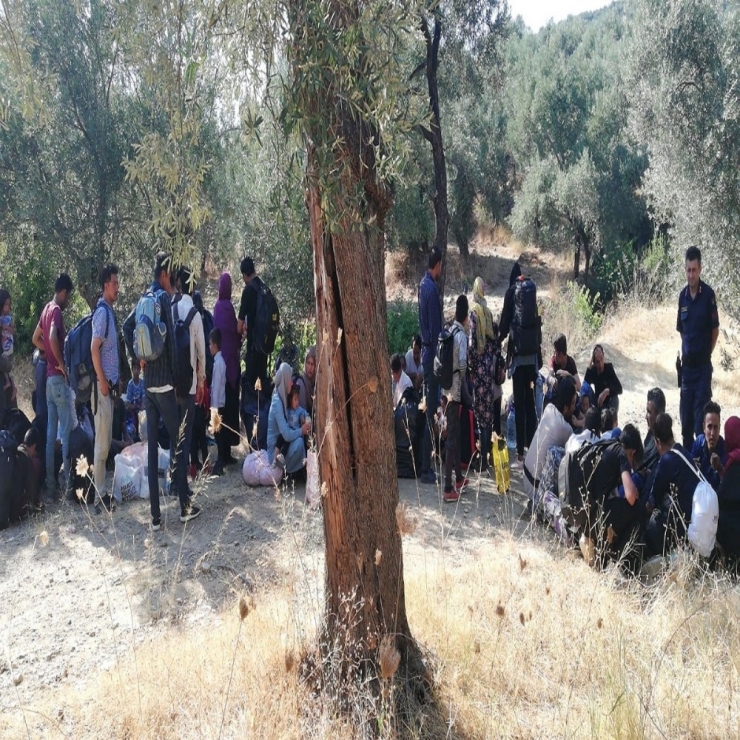 Bir Haftada Bin 420 Kaçak Göçmen Yakalandı
