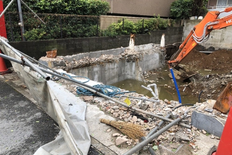 Japonya’daki Tayfunda 1 Kişi Öldü