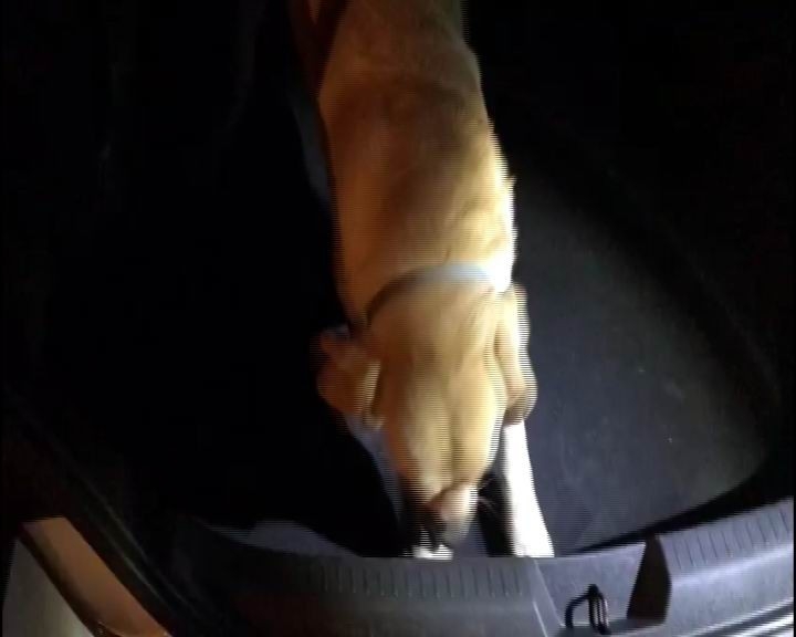 Aracın Stepnesinden Uyuşturucu Çıktı