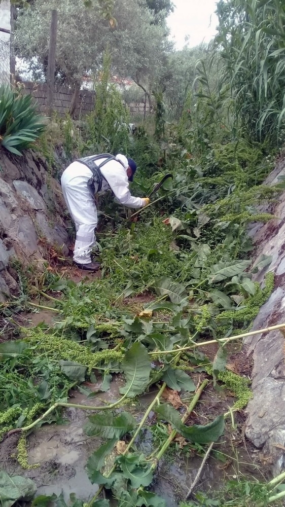 Muğla Büyükşehir 17 Kilometre Dere Temizliği Yaptı