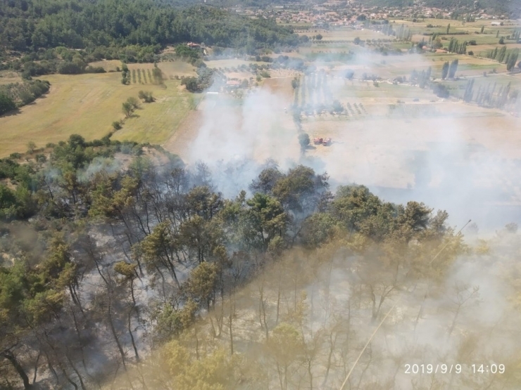 Muğla’da Orman Yangını