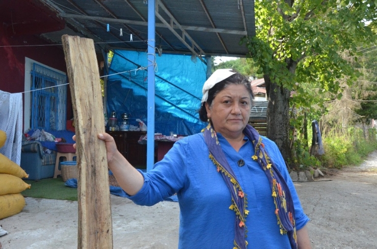 Kafasına Kalasla Vurulan Kadın: “Pusu Kurularak, Öldürmek İçin Vurdular”