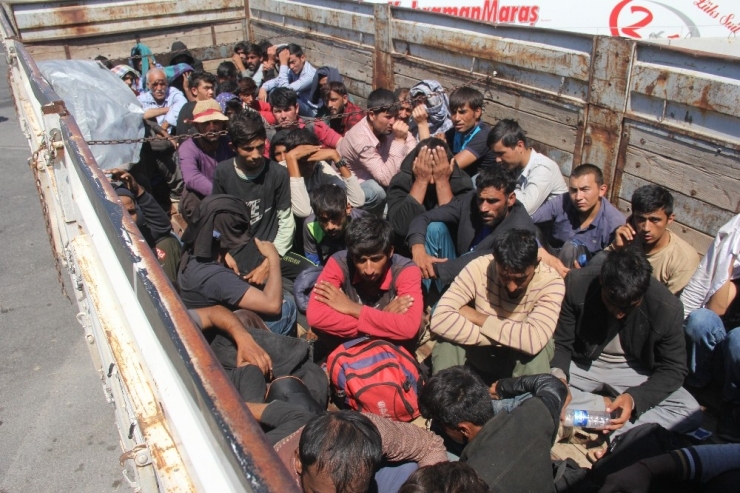 Kamyon Kasasından Koyun Yerine 61 Kaçak Göçmen Çıktı