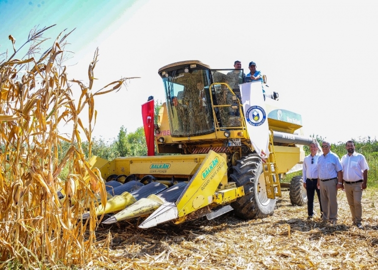 Bölgenin İlk Mısır Hasadı Gerçekleşti