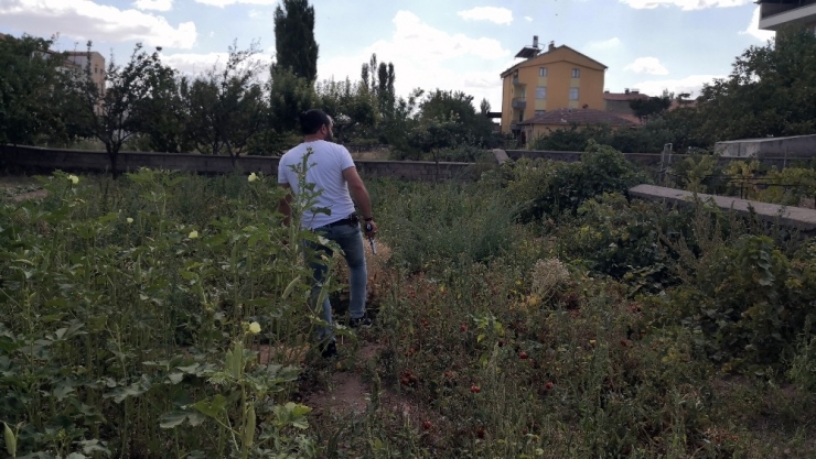 Ankara’dan Hatay’a Götürülen Yabancı Uyruklu Şahıs Aksaray’da Firar Etti
