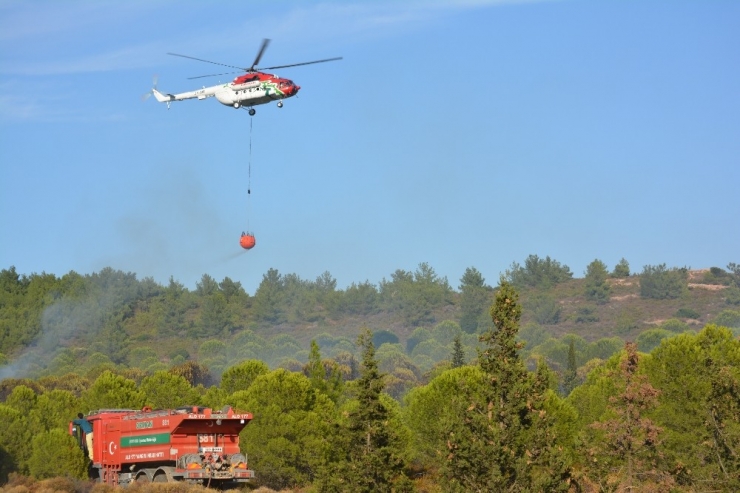 Ayvalık’ta Orman Yangını
