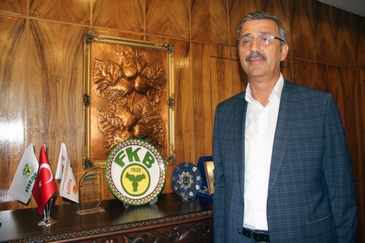 Bayraktar, Fındık Fiyatının Düşüş Nedenlerini Açıkladı