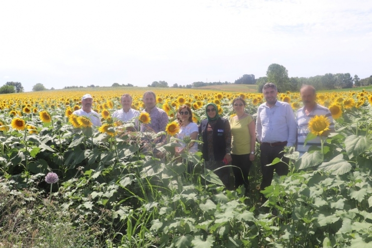 Yüzde 50 Hibeli Tohum Desteği İçin Talep Alımları Başladı
