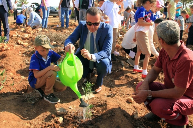 İlk Ders: ‘Orman Sevgisi’