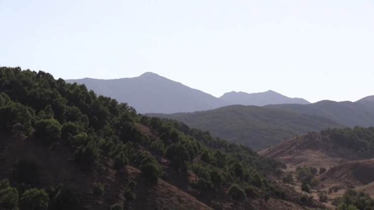 Şenyayla Bölgesinde Terör Operasyonu