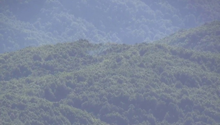 Şenyayla Bölgesinde Terör Operasyonu