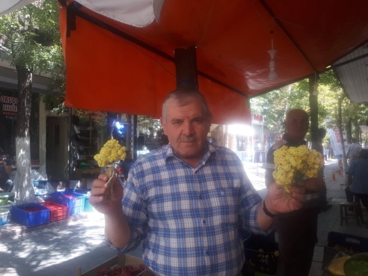 Bu Ot Yılda Sadece Bir Ay Yetişiyor