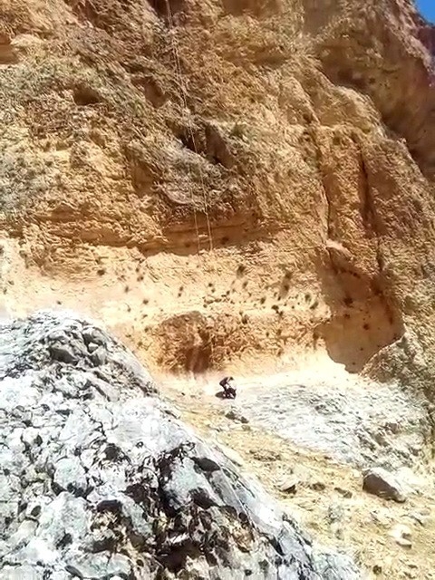 Kayalıklarda Mahsur Kalan Keçileri Afad Kurtardı