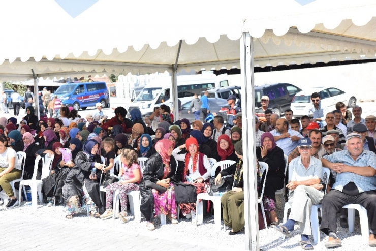 Altıeylül Güreşlerinde Ali Gürbüz Başpehlivan Oldu