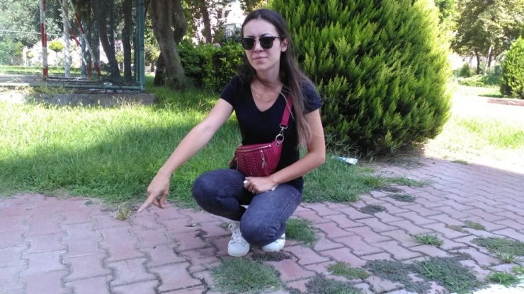 İki Ağabeyini Trafik Kazasında Kaybeden Fahri Trafik Müfettişinin Feci Ölümü