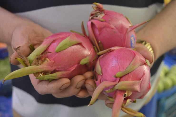 Hem Şekli Hem De Fiyatı Şaşırtıyor