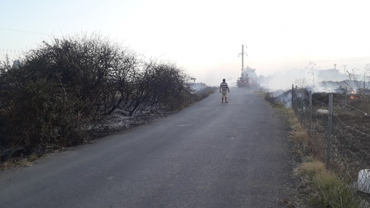 Sigara İzmariti Otluk Alanı Yaktı