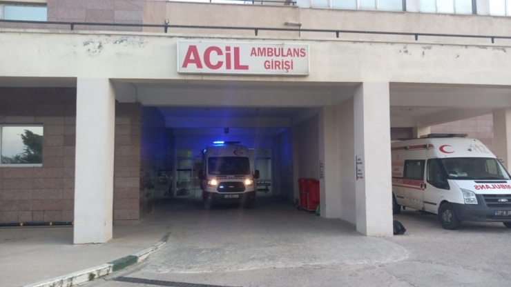 İncir Toplamak İsterken Ağaçtan Düştü