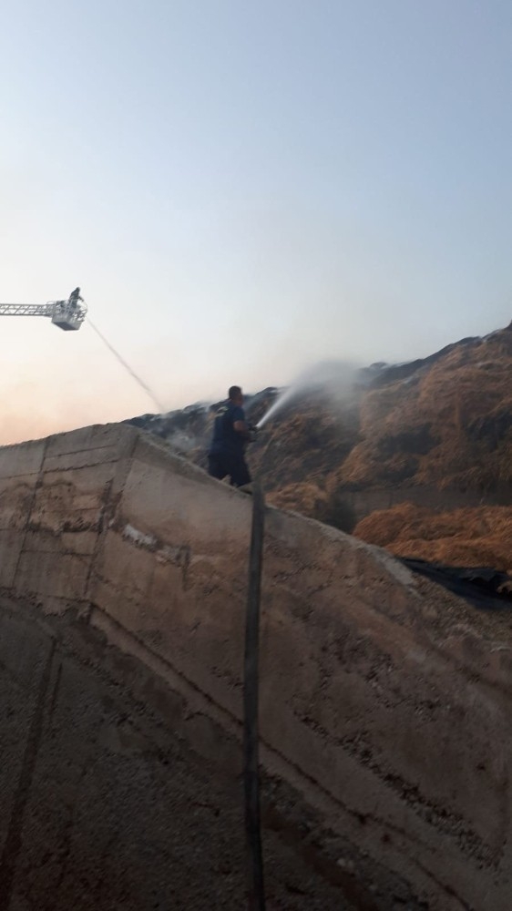 100 Bin Büyükbaş Hayvanın Bulunduğu Besi Çiftliğinde Korkutan Yangın