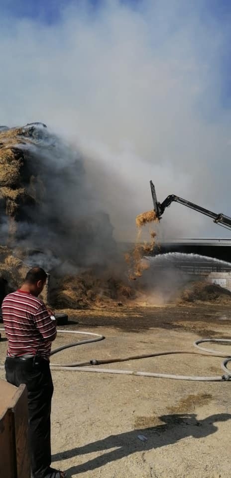 100 Bin Hayvanın Bulunduğu Çiftlikte Yangın