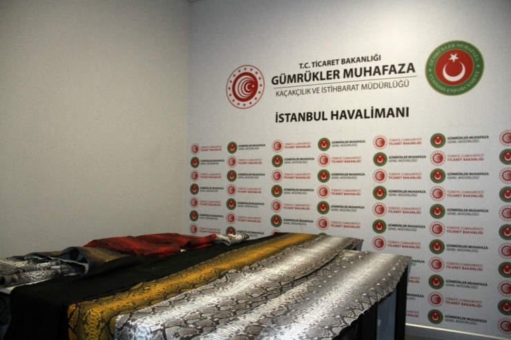 İstanbul Havalimanı’nda Ele Geçirilen Yılan Derilerinin Değeri 320 Bin Tl